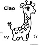 Giraffa