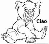 Orsetto